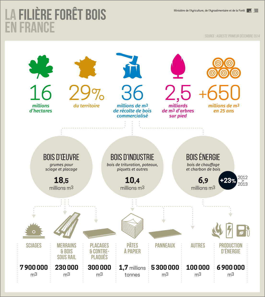 infographie filière forêt bois france