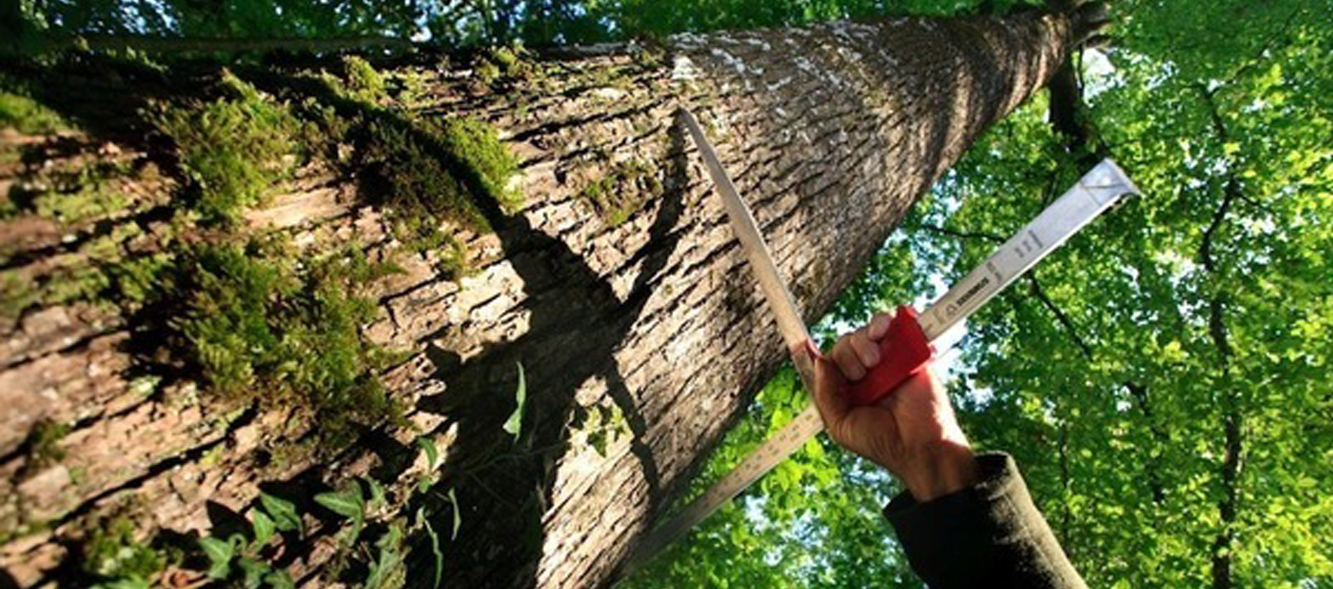 Calendrier Vente De Bois Onf 2022 - Calendrier Imprimer 2022